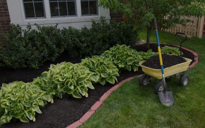 Lawn Maintenance Essentials