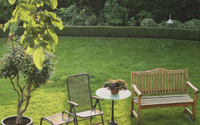 Lawn Care in Bloomington, IL