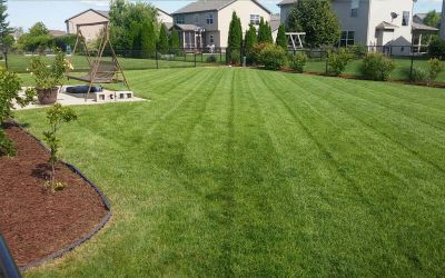 Landscaping Contractors in Bloomington and Normal IL