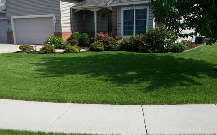 Local Lawn Care in Bloomington IL