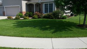 Landscaping Services
