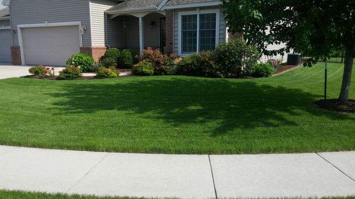 Lawn Mowing Bloomington, IL