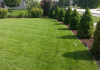 Bloomington, IL Lawn Care