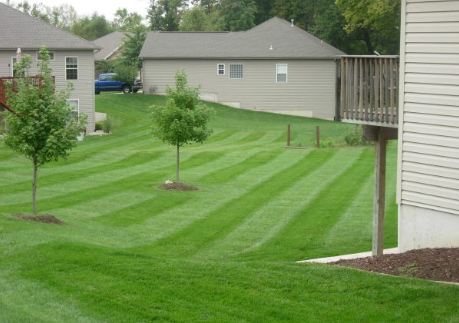 Commercial Mowing in Bloomington-Normal