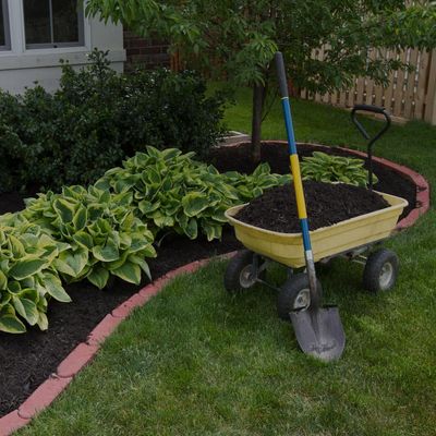 mulch-bg_crop_552_552